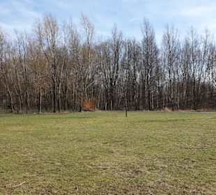 Umgebung am Berzdorfer See.