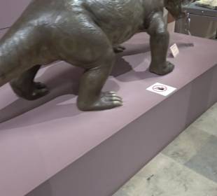 Staatliches Naturkunde Museum