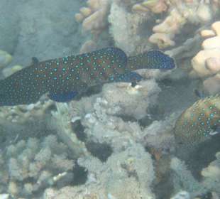 Alle Bilder an einem Tag!