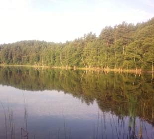 Jezioro Kniewo