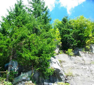 Hier ist das Mahnmal im Stein