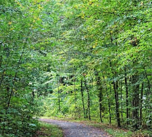Rundgang durch den Stadtpark Versmold