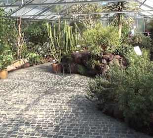 Berggarten