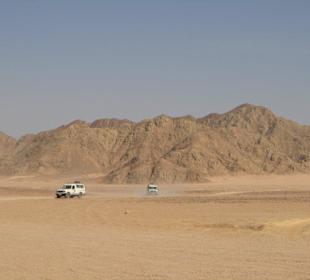 Die endlose Landschaft