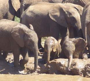 Die Kleinen sind süß!