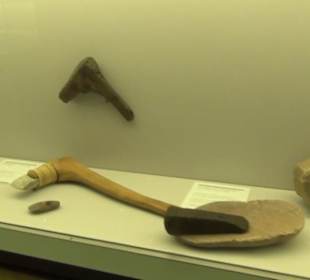 Niedersächsisches Landesmuseum