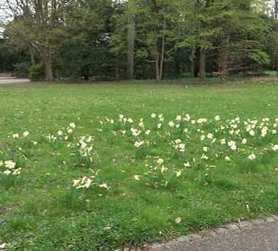 Schlossgarten Karlsruhe