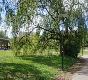 Rålambshovsparken
