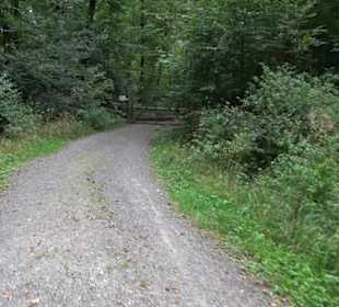 Altwege Rundwanderung Bebenhausen