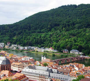 Wunderbarer Blick vom Schloss zum Neckar