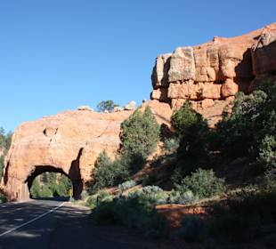Bryce Canyon, beim Eingang/Ausgang