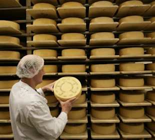 Käselager der Appenzeller Schaukäserei