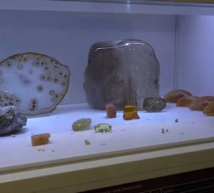 Museum Natur und Mensch