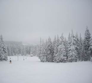 Ski-Hang Hotel Cerna Bouda