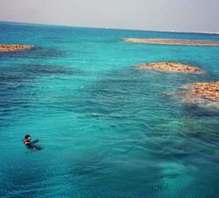 Tiran Insel Schnorchelausflug