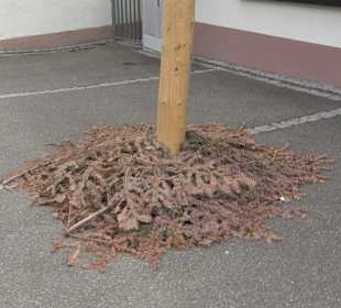 Rathaus Grünmettstetten