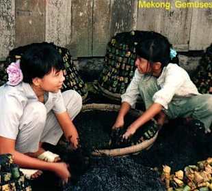 Am Mekong