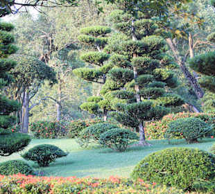 Botanical Garden
