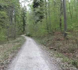 Wanderweg Firstwaldrunde