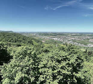 Aussichtsturm Aalbäumle