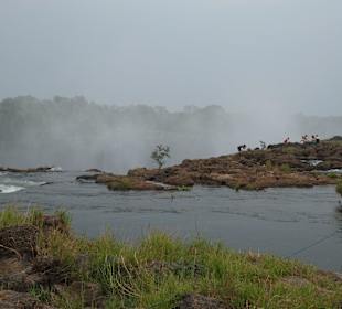 Weg Richtung Devil´s Pool Sambia