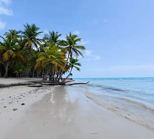 Saona Island mit Lilly