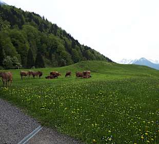 Wandern Oberstdorf