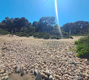 Ses Covetes in Sa Rapita
