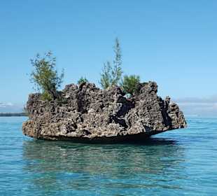 Crystal Rock