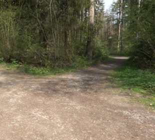 Vitus Mayer Waldlehrpfad