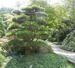 Parkanlage Planten un Blomen