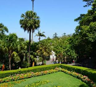 Taronga Zoo