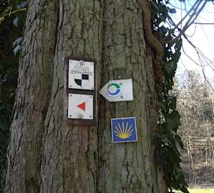 Klosterfelsenweg