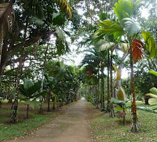 Botanischer Garten