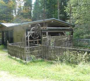 Wunderbare Wanderung am Großen Regen