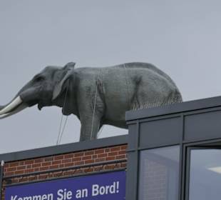 Werbung für den Zoo