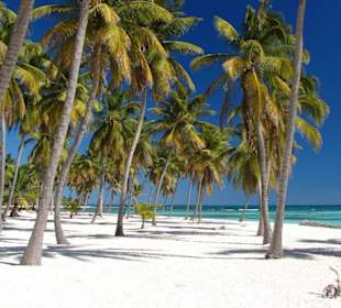 Robinson-Strand auf Saona