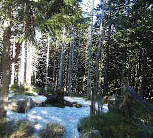 Karkonoski Park Narodowy