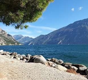 Strand Limone