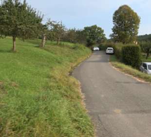 Altwege Rundwanderung Bebenhausen