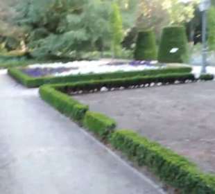 Real Jardín Botánico de Madrid
