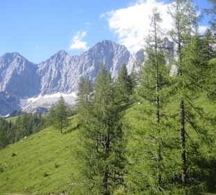 Blick auf den Dachstein