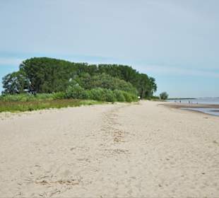 Eindrücke vom Strand der Insel Krautsand
