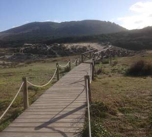 Dünen in Cala Mesquida