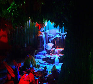 Im Aquarium