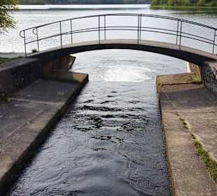 Ende April am Stausee Zulauf