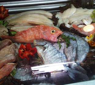 Fisch