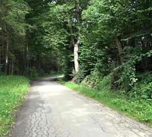 Themenweg Kaiserweg Zimmern