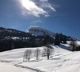 Rund um den Schwendisee