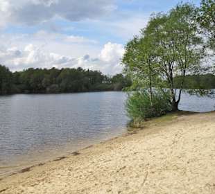 Sandufer an der Thülsfelder Talsperre